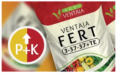 High P & K Fertilizer Bag