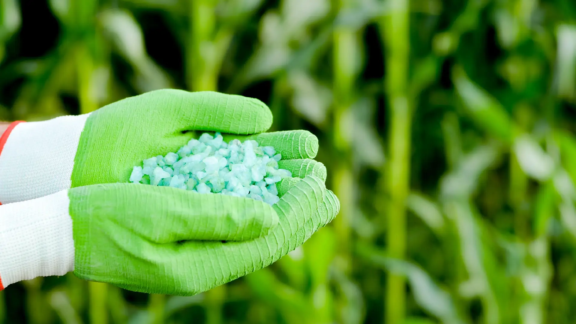 NPK Soluble Powder Fertilizer