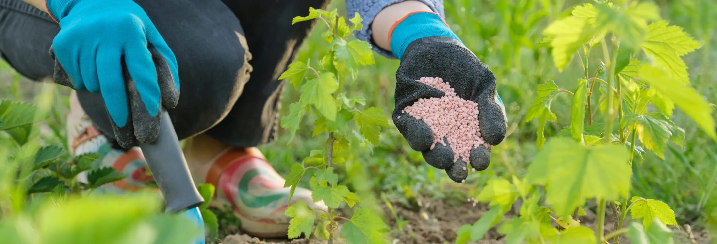 AgriVentaja Fertilizer Production