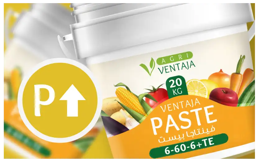 High Phosphorus Fertilizer Bag