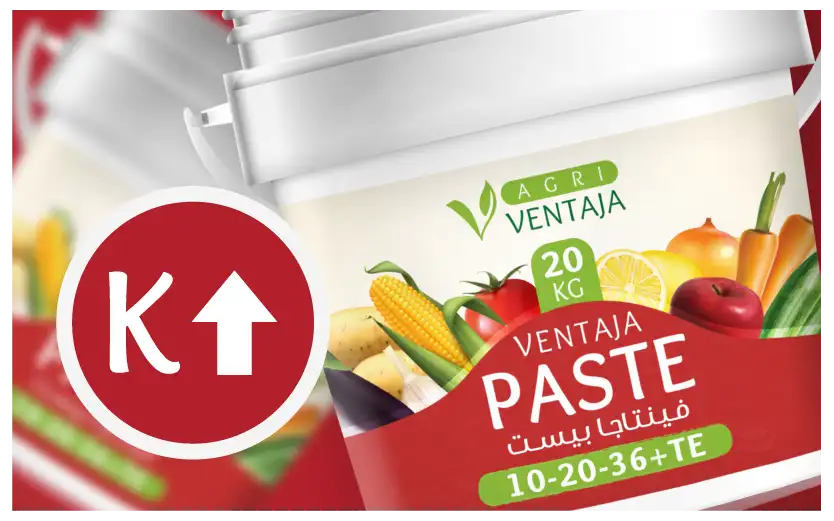 High Potassium Fertilizer Bag