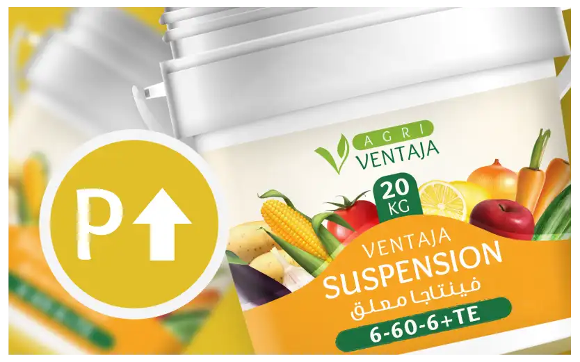 High Phosphorus Fertilizer Bag